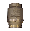 Swing Check Valve