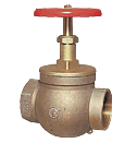 Globe Valve